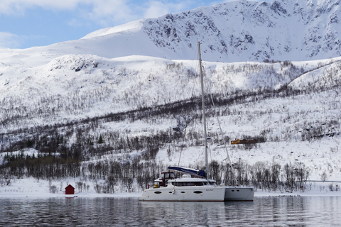 Tromsø: Kryssning i lyxig katamaran: Arctic Fjord Sightseeing CruiseTromsö: Sightseeingkryssning i Arktiska fjorden med lyxig katamaran