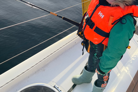 Tromsø: cruzeiro turístico no fiorde ártico em catamarã de luxoTromsø: Cruzeiro turístico pelo Fiorde Ártico em um catamarã de luxo