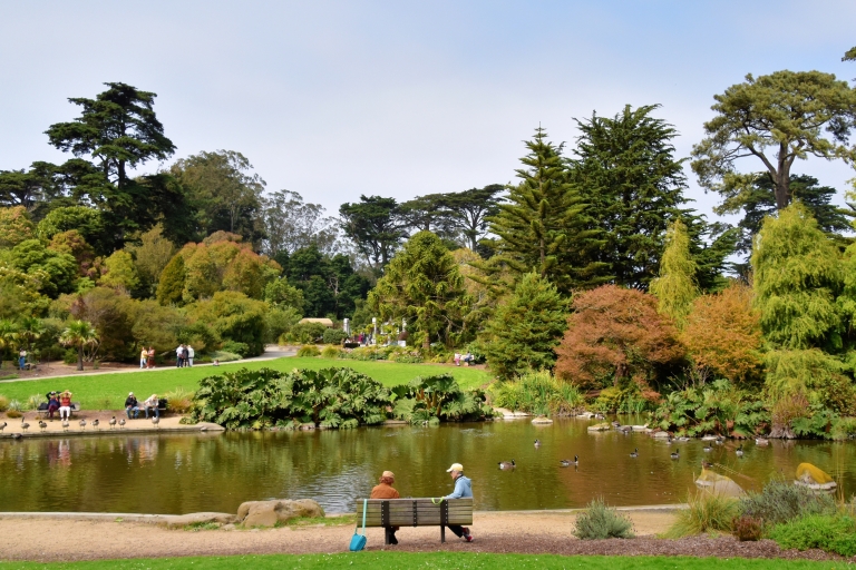 San Francisco : jeu d'exploration du Golden Gate ParkSan Francisco : jeu pour smartphone d'exploration du Golden Gate Park