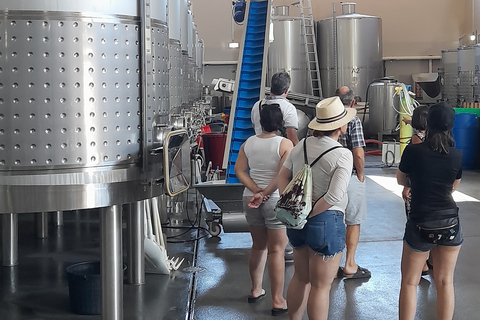 Lagos: visite de Ponta Da Piedade et de Lagos avec dégustation de vinLagos: visite guidée de Ponta Da Piedade et dégustation de vin