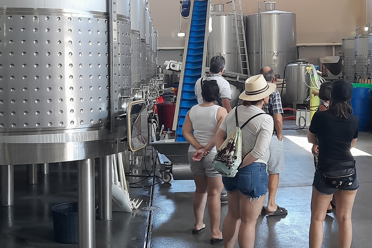 Lagos: visite de Ponta Da Piedade et de Lagos avec dégustation de vinLagos: visite guidée de Ponta Da Piedade et dégustation de vin