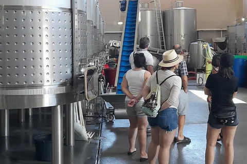 Albufeira: Algarve Coast Guided Tour with Wine Tasting