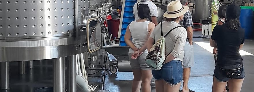 Albufeira : visite guidée de la côte de l'Algarve avec dégustation de vins