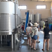 Albufeira: Geführte Tour an der Algarve-Küste mit Weinprobe