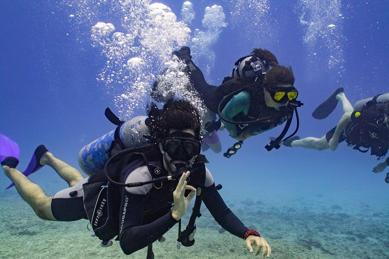 Honolulu: Discover Scuba Diving Experience