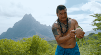 Moorea, halve dag open-air 4wd safari met hoteloverdrachten - Housity