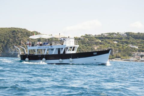 Ischia: Island Boat Tour with Neapolitan Lunch & Snorkeling