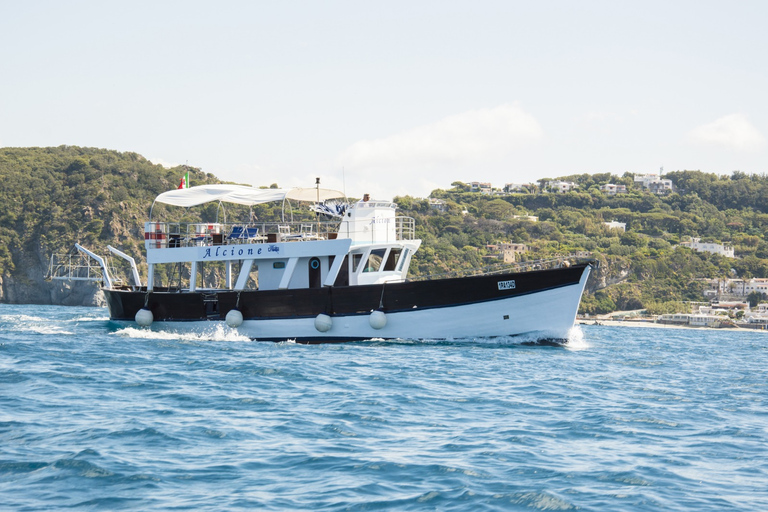 Ischia : excursion en bateau sur l'île avec déjeuner napolitain et plongée en apnéeIschia: excursion en bateau sur l'île avec déjeuner napolitain et plongée en apnée