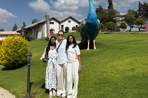 Addis Ababa Layover Tour: Unity Park, Coffee & Local Lunch
