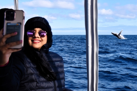 Au départ de Fremantle : croisière de luxe de 2 heures pour observer les baleinesOption standard
