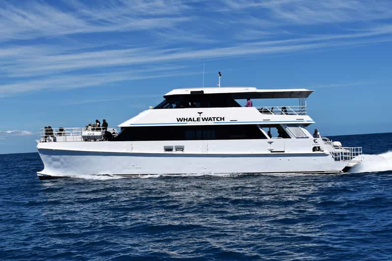 catamaran cruise fremantle