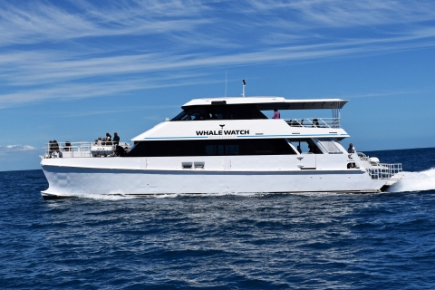 From Fremantle: 2-Hour Luxury Whale-Watching Cruise Standard Option