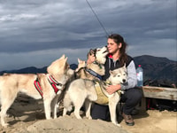 Unterallgäu, Wiedergeltingen Randonnée guidée avec Huskies - Hizvo
