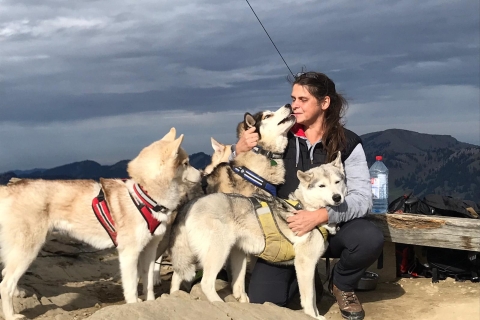 Unterallgäu: Wiedergeltingen Excursión guiada con huskies