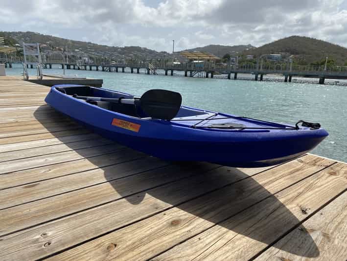 St. Thomas Guided Kayak Tour with Dolphin Sighting GetYourGuide