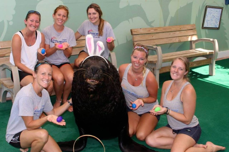 St. Thomas: Guided Sea Lion Encounter