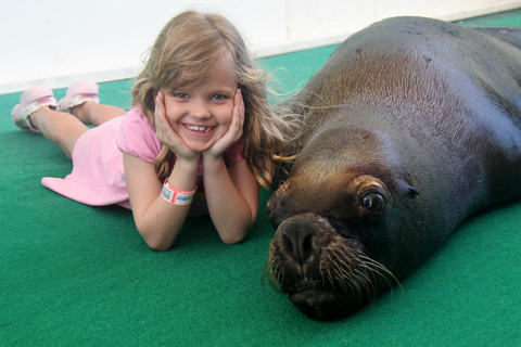 St. Thomas: Guided Sea Lion Encounter