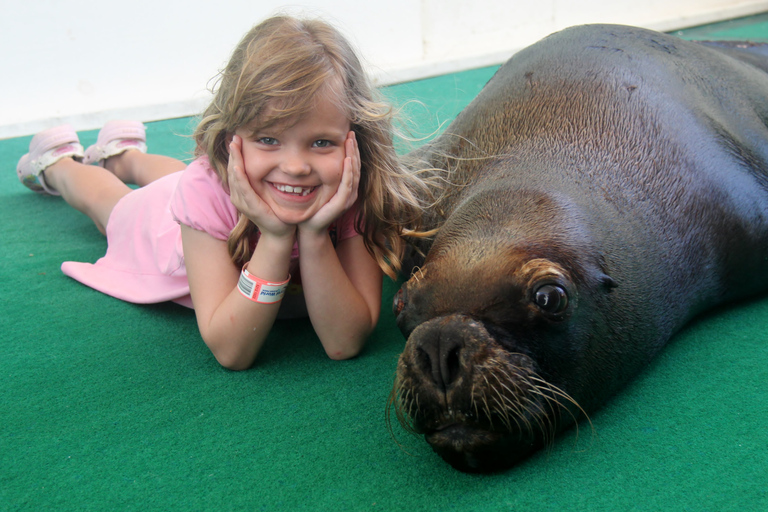 St. Thomas: Guided Sea Lion Encounter