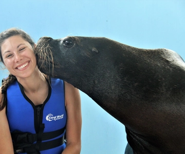 St. Thomas: Guided Sea Lion Encounter