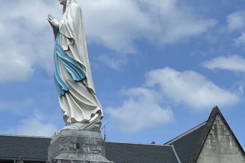 Desde San Sebastián: excursión privada de un día al Santuario de Lourdes