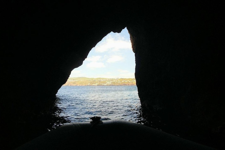 Insel Terceira: Ilhéu das Cabras Bootstour + SchnorchelnVon der Ilha Terceira: Ilhéu das Cabras Schnorchel Bootstour