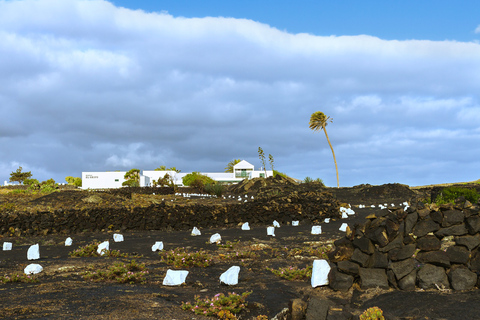 Lanzarote: Ljudguidad rundtur på vinmuseet El Grifo