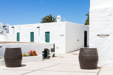 Lanzarote: Audio Guided Tour of the El Grifo Wine Museum