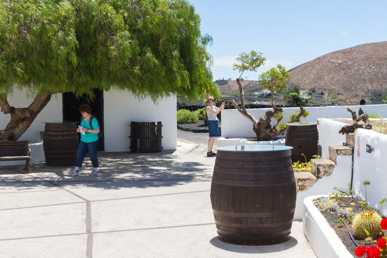 San Bartolomé: Audio Guided Tour of the El Grifo Wine Museum
