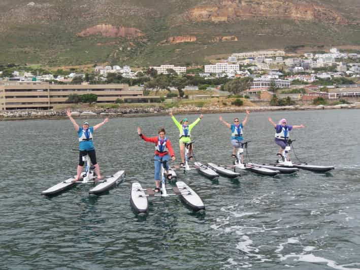 Cape Town Water Biking Tour GetYourGuide