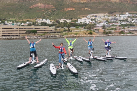 Ciudad del Cabo: tour en bicicleta acuáticaTour de 1 hora