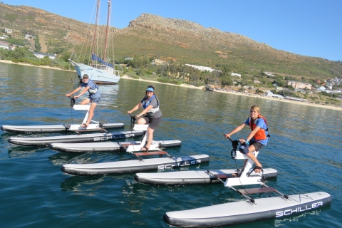 Ciudad del Cabo: tour en bicicleta acuáticaTour de 1 hora