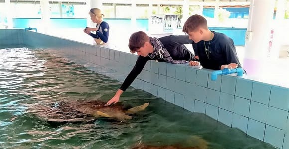 Phuket: Schildkröten, Rafting & Elefanten – private ethische Tour