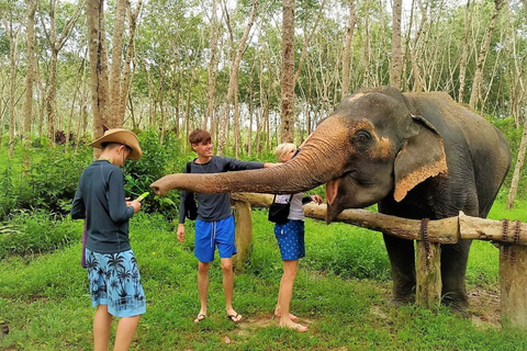 Von Phuket aus: Elefanten- und Meeresschildkröten-Schutz Privat-Tour