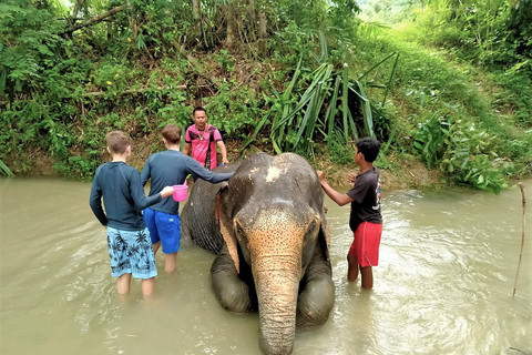 De Phuket: Tour particular para conservação de elefantes e tartarugas marinhasDe Phuket: Excursão Privada de Conservação de Elefantes e Tartarugas Marinhas