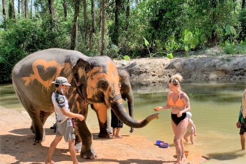 Van Phuket: privétour olifanten- en zeeschildpaddenbehoud