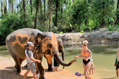 De Phuket: Tour particular para conservação de elefantes e tartarugas marinhasDe Phuket: Excursão Privada de Conservação de Elefantes e Tartarugas Marinhas