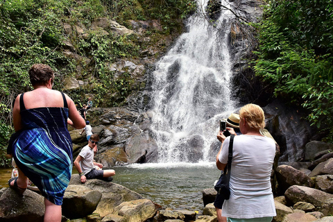 Da Phuket: Tour privato della conservazione degli elefanti e delle tartarughe marineDa Phuket: tour privato per la conservazione di elefanti e tartarughe marine