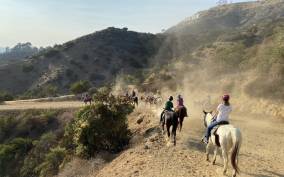 Los Angeles: Mulholland Trail Horseback Riding Tour