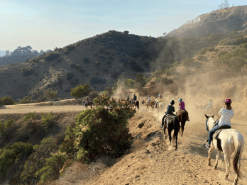 Los Angeles : Visite à cheval de Mulholland Trail