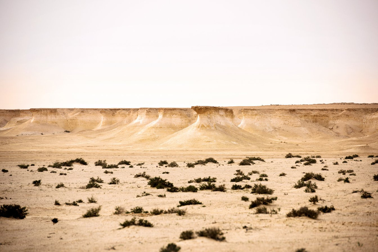 Doha : sculpture de Richard Serra, collines aux champignons et fort de Zekreet