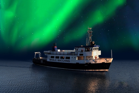 Desde Reikiavik: crucero turístico por la aurora borealCon recogida en el hotel