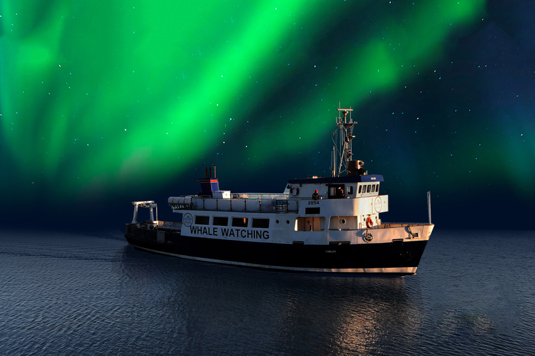 Desde Reikiavik: crucero turístico por la aurora borealCon recogida en el hotel