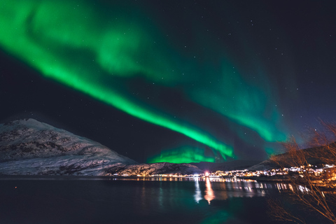 Från Reykjavik: NordljuskryssningMed upphämtning på hotellet