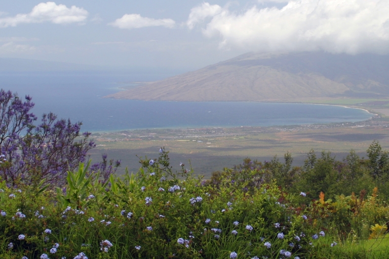 Maui: Ziegenfarm, Brennerei und Glasbläserei Tour mit Verkostung