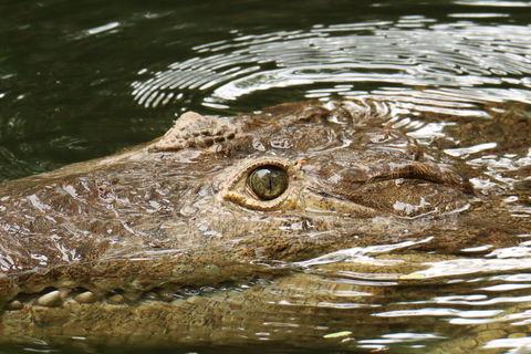 Diamante Eco Adventure Park: Wildlife Sanctuary Pass Diamante Eco Adventure Park: Admission Ticket