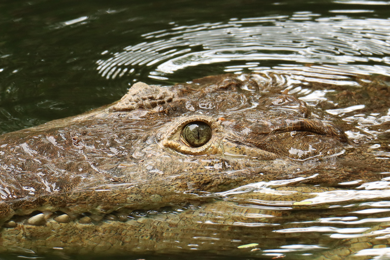 Diamante Eco Adventure Park: Wildlife Sanctuary Pass Diamante Eco Adventure Park: Admission Ticket