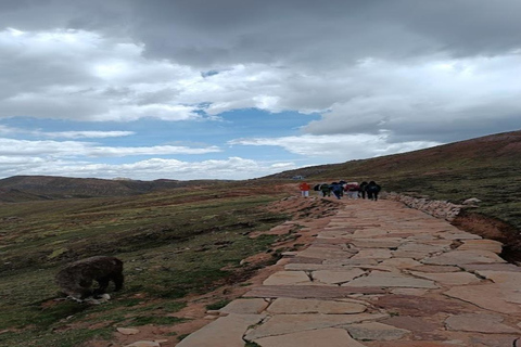 Cusco: Dia inteiro na montanha Palcoyoc + Refeições incluídas