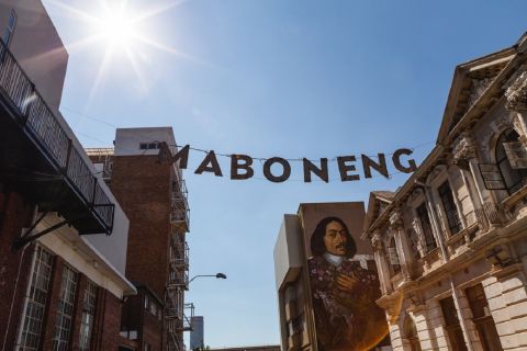 Johannesburg: tour di mezza giornata del Museo dell'Apartheid e di Maboneng