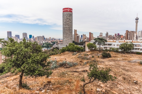Johannesburg : musée de l'apartheid et visite d'une demi-journée à Maboneng