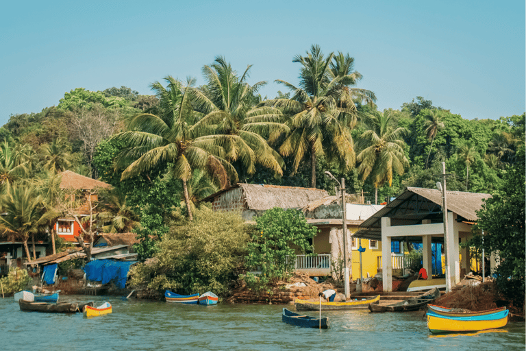 Visite matinale des plages de Goa à vélo avec petit-déjeuner